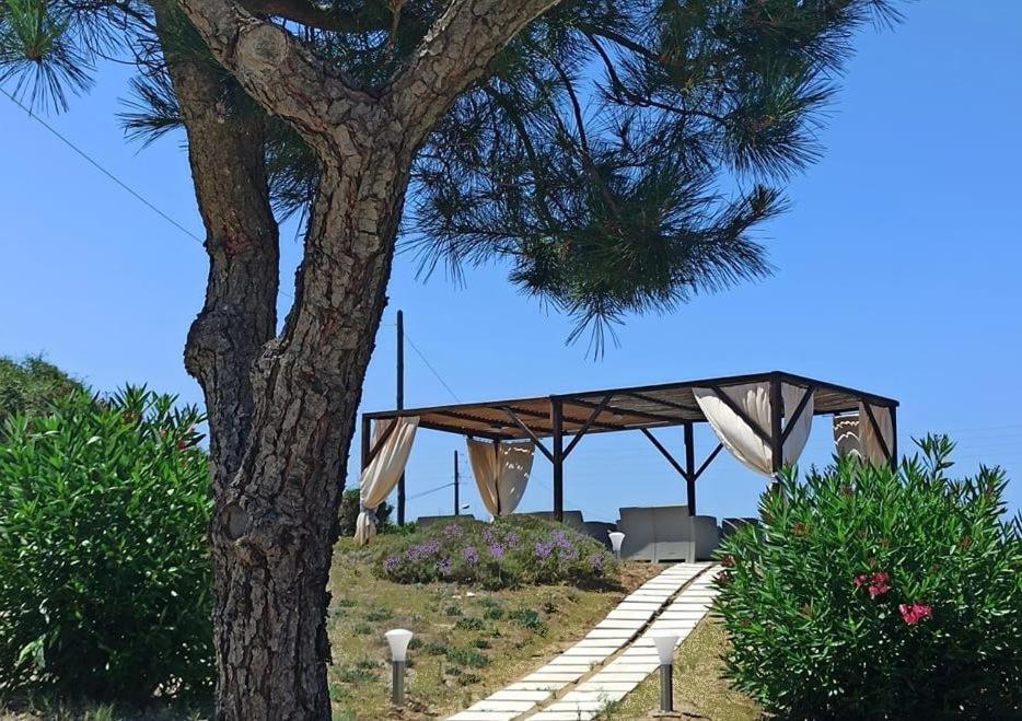 Elli Beach Apartments And Studios Almiros Beach Eksteriør billede