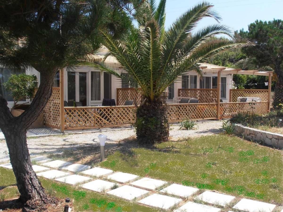 Elli Beach Apartments And Studios Almiros Beach Eksteriør billede