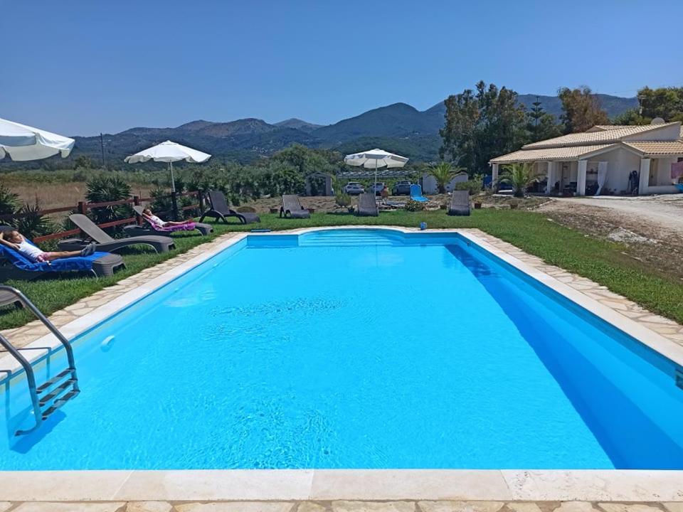 Elli Beach Apartments And Studios Almiros Beach Eksteriør billede