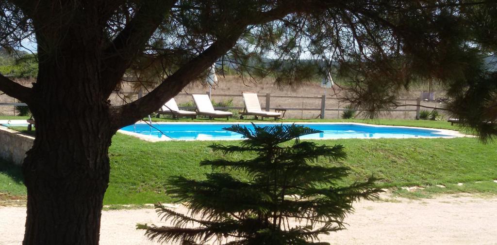 Elli Beach Apartments And Studios Almiros Beach Eksteriør billede